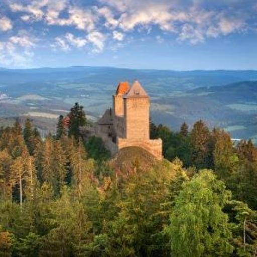 Noční prohlídky v srpnu