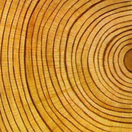 Dotkni se mě dlaní – pohlaď mě pohledem – naplníš svou duši duhou