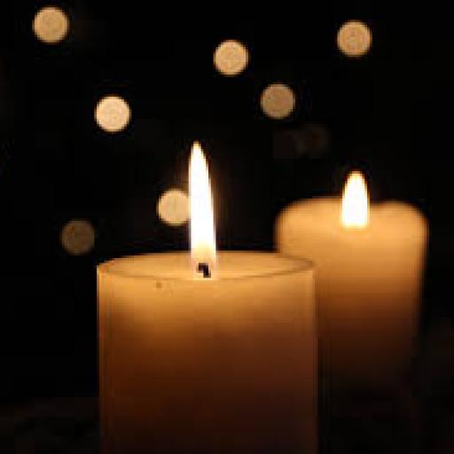 Ingrediente - hlas ze Šumavské pouště