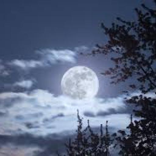 Měsíc, náš nejbližší soused