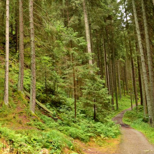 Industriální dědictví na Zlatém potoce