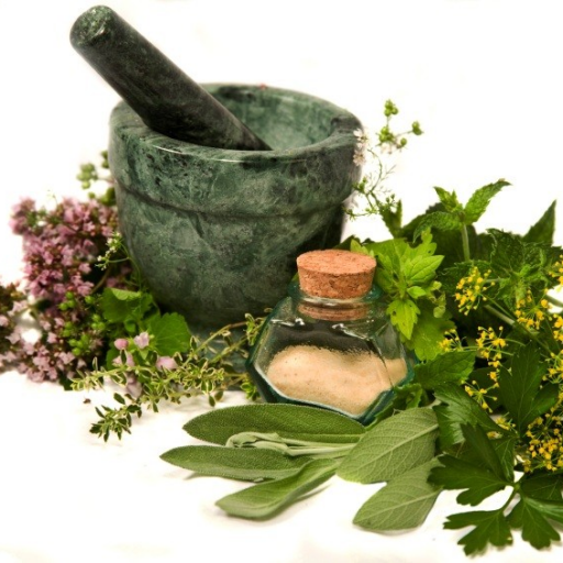 Byliny v mýtech, magii a léčitelství