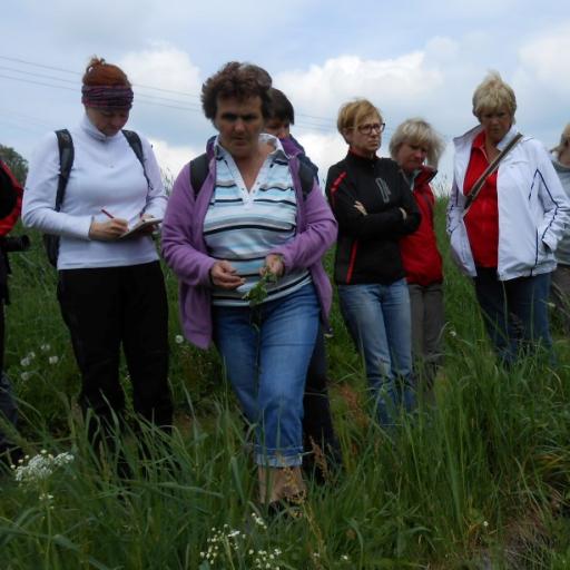 Jedovaté rostliny v přírodě