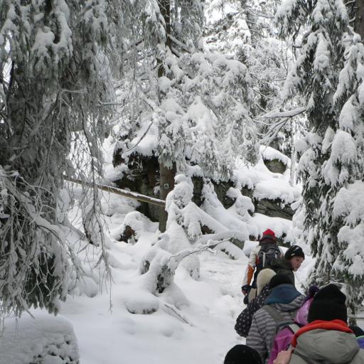 Vycházka na sněžnicích – Modrava a okolí