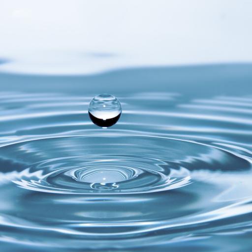 Život pro mokřady aneb vracíme vodu krajině