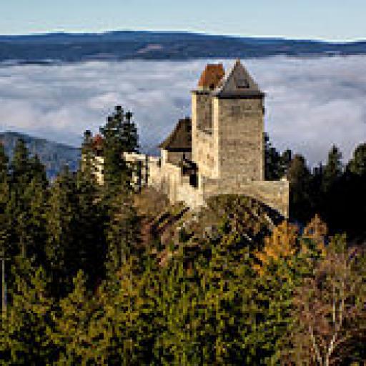 Za zlatým rounem a královskou pečetí