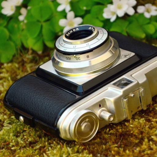 Fotografické putování Šumavou po Zlaté stezce