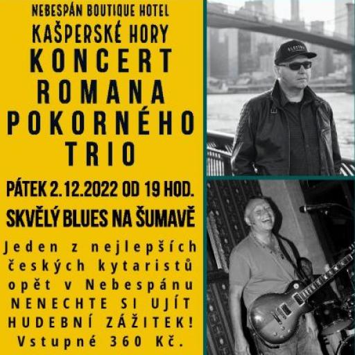Roman Pokorný Trio