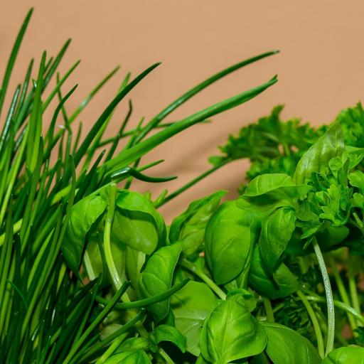 Farmářské a řemeslné trhy