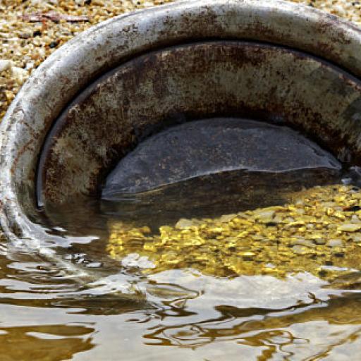 Po stopách zlatokopů