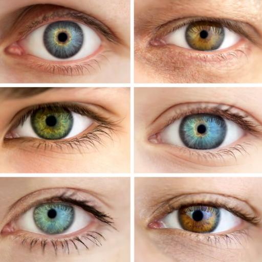 Beseda – Irisdiagnostka