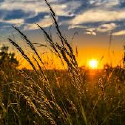 Rozloučení s létem