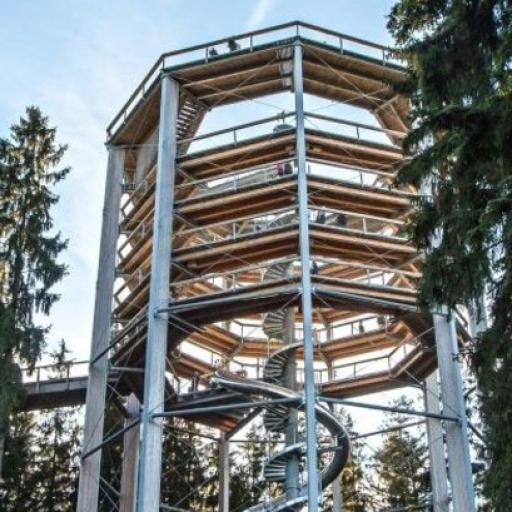 VÝLET S JONÁŠEM - Stezka korunami stromů Lipno