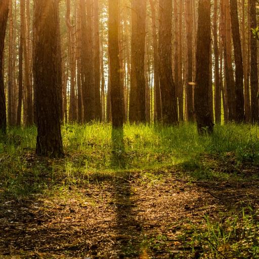 Evropský den národních parků