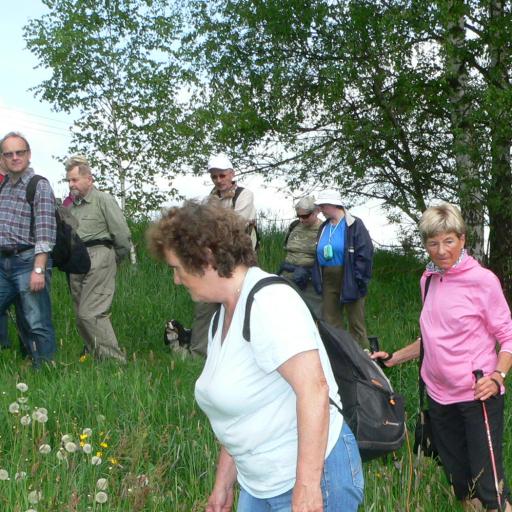 I plevele mají krásné květy