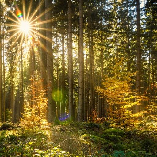 Putování po naučných stezkách