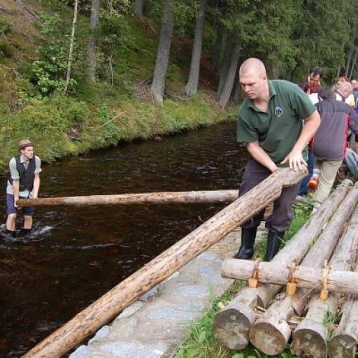 Historie dřevařství na Šumavě