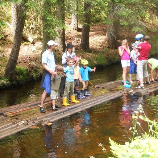 Historie dřevařství na Šumavě, stavba vorů a plavba po Vchynicko-Tetovském kanálu