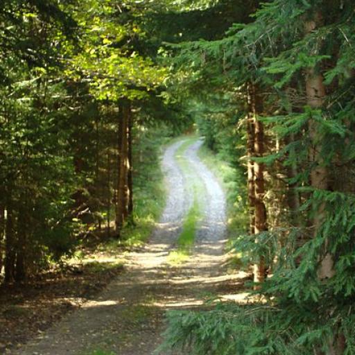 Kolem Kepelského Zhůří