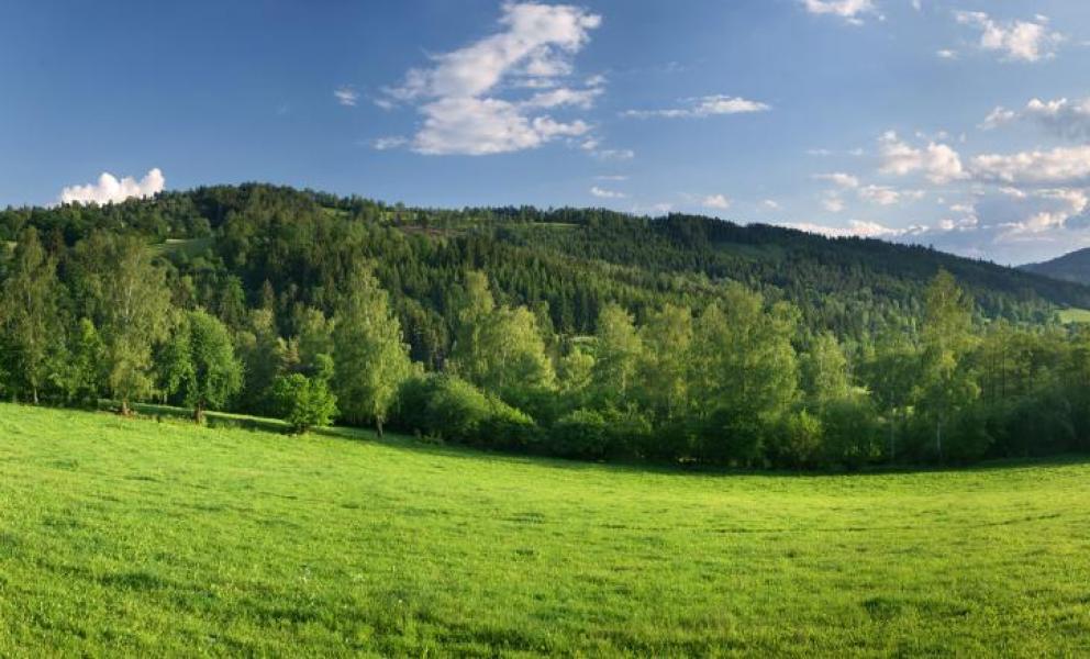 Stadt Kašperské Hory