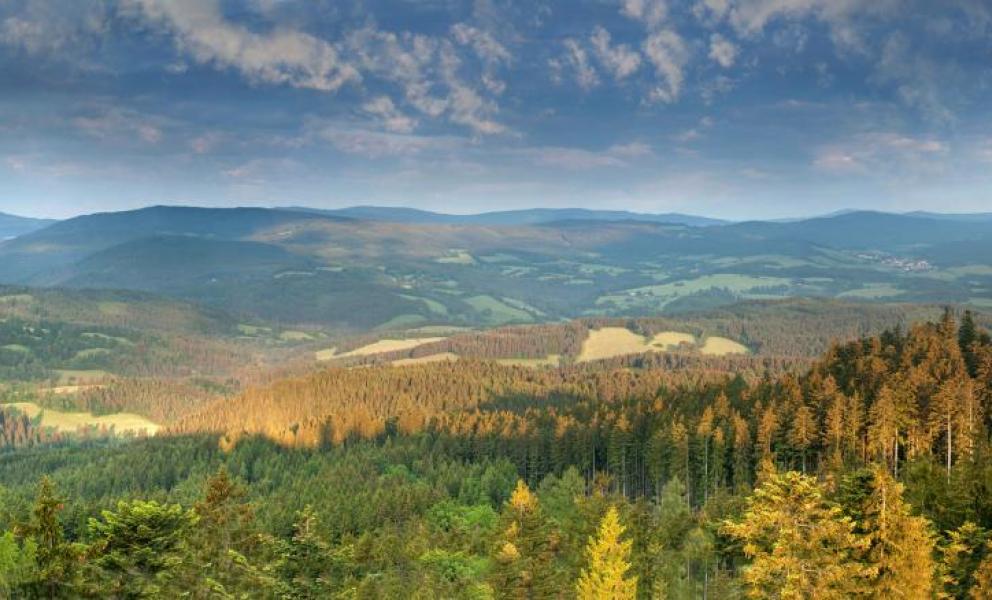 Stadt Kašperské Hory